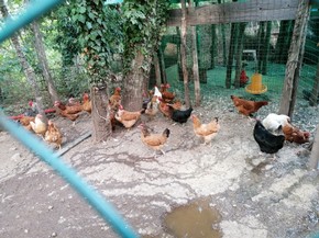 IMG_20200910_084303.jpg