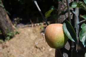 IMG_4828.JPG
