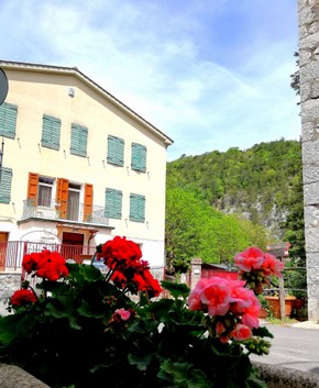 agriturismo e fiori.jpg